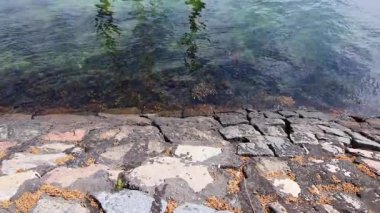 Parlak güneş ışığı Baltık Denizi sularına yansıyor. Taş iskele duvarının yanında, berrak ve dalgalı yüzeyi olan sakin kıyı manzarası sergiliyor.