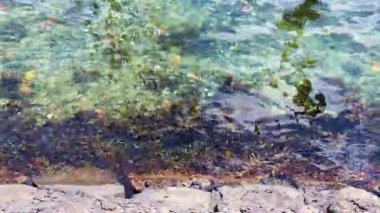 Baltık Denizi suları, aşınmış taş rıhtımının yanındaki kayaları hafifçe yıkayarak, el değmemiş doğal ışıkla şeffaf deniz manzarasını ortaya çıkarıyor.