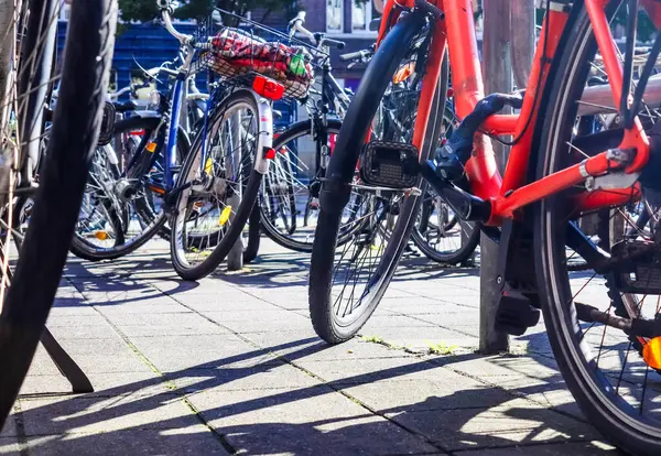 Almanya 'da Kiel' de bir bisiklet park alanının yakın görüntüsü