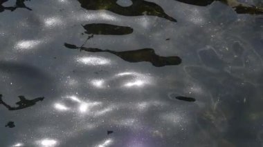 Parlak güneş ışığı karanlık su yüzeyinde parıldıyor ve yansıyor, doğal dokusu ve barışçıl atmosferi olan parıldayan ışık desenleri yaratıyor.