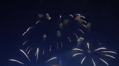 Karanlık gece gökyüzünde patlayan canlı havai fişekler, kutlama sırasında göz kamaştırıcı renklerle manzarayı aydınlatıyor.