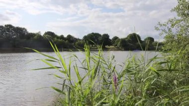 Sıcak güneş ışığı tüylü kümülüs bulutlarına nüfuz ediyor, dingin gündüz koşullarında parlak bir ışık saçan, geniş mavi gökyüzünü aydınlatıyor.
