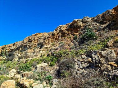 Bitkilerle kaplı kayalık bir arazinin alçak açılı görüntüsü, dik ve katmanlı bir kaya oluşumunu, açık mavi gökyüzüne karşı, tipik Malta kıyılarına karşı