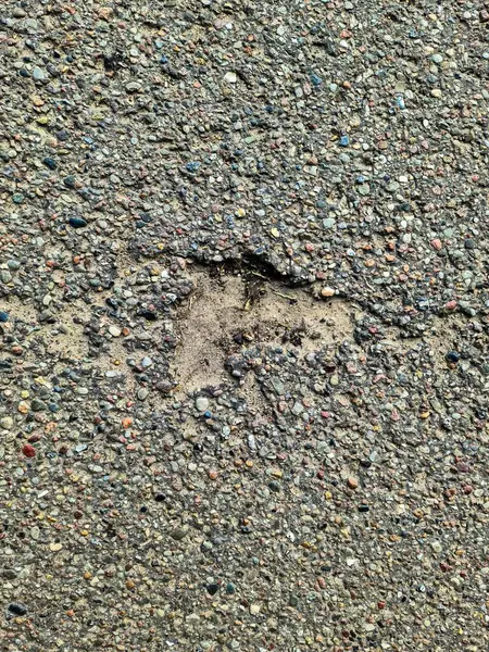Hasarlı asfalt görüntüsünü kapatın. Altında çakıl ve kir var. Soyut bir kalıp oluşturuyor.