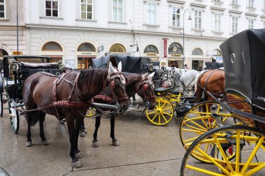 Viyana, Avusturya - 10. Temmuz 2025: Fiaker olarak bilinen geleneksel at arabaları, Viyana caddesinde turistleri bekliyor
