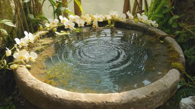 Beyaz orkideler bir taş çeşmeyi sudaki dalgalarla süsler, barışçıl ve zen bir atmosfer yaratır.