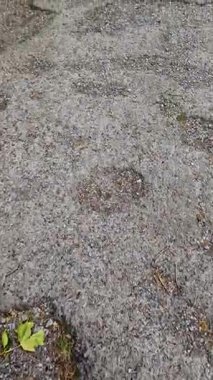 Water flowing over a deteriorated and cracked asphalt pavement. The poor condition of the road surface reveals gravel and earth underneath