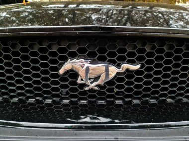 Ford Mustang running pony emblem on black honeycomb grille of a car