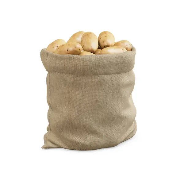 Ein Brauner Sack Mit Kartoffelbild Isoliert Auf Weißem Hintergrund — Stockfoto