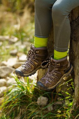 Yeşil yüksek çoraplı, uzun bacaklı, ağaç gövdesinden sarkan kahverengi yürüyüş botları..