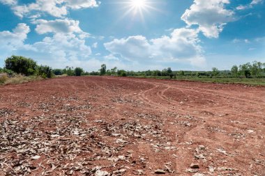 Kuru, çatlak bataklık ıslah toprağı, konut inşaatı için arazi arazi, kırsal alanda araba lastiği izi ve temiz hava ile güzel mavi gökyüzü. Satış arazisi konsepti için arazi.