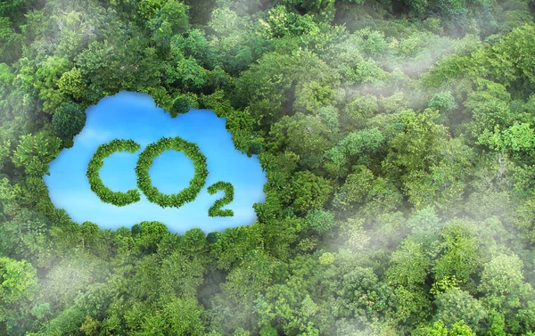 Концепція Зображує Питання Викидів Вуглекислого Газу Його Вплив Природу Вигляді — стокове фото