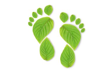 Yeşil yaprak büyüyen ayak izleri, beyaz zeminde izole edilmiş karbondioksit sembolü. Karbondioksit emisyonu olmadan temiz ve dostane bir ortam..