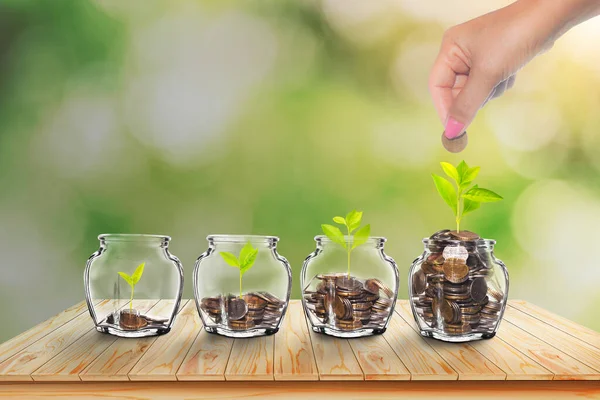 Growing Plants in Savings Coins - Investment and Interest Ideas. Money growing plant with fiery light effect - money growing concept.  with green blur nature background.