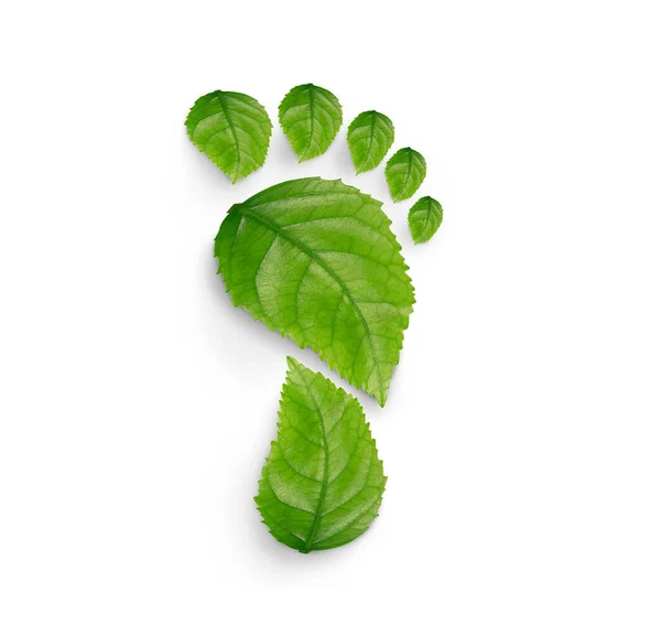 Green Leaf Growing Footprints Co2 Symbol Isolated White Background Reduce — Stock Photo, Image