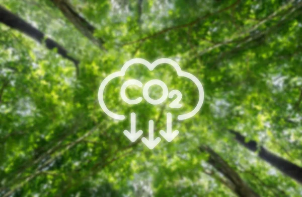 Co2 Uitstoot Verminderen Klimaatverandering Opwarming Van Aarde Beperken Lage Broeikasgasniveaus — Stockfoto