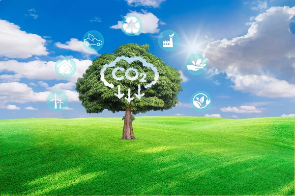 Groene Bedrijven Basis Van Hernieuwbare Energie Kunnen Klimaatverandering Opwarming Van — Stockfoto