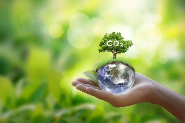Renewable Energy Based Green Businesses Can Limit Climate Change Global — Stock Photo, Image