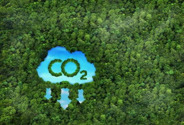 Концепция Изображающая Проблему Выбросов Углекислого Газа Влияние Природу Виде Пруда Стоковое Фото