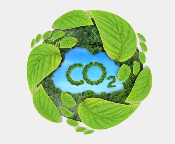 Green Leaf Growing Footprints Co2 Symbol Reduce Co2 Emission Concept — Stock Photo, Image