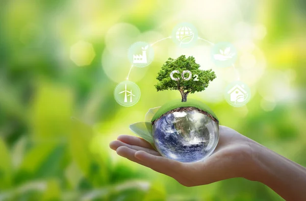 Возобновляемые Источники Энергии Зеленый Бизнес Ограничить Изменение Климата Глобальное Потепление Лицензионные Стоковые Фото