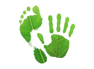 Yeşil yaprak büyüyen ayak izleri ve yaprakların elleri. Beyaz Arkaplanda karbondioksit izole edilmiş. Karbondioksit emisyonu olmadan temiz ve dostane bir ortam..