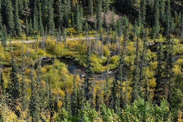 Canada Yukon Vue Sur Une Rivière Montagne Dans Forêt Beau — Photo
