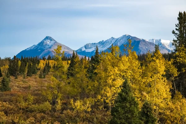 加拿大 育空地区 秋天的冻土带景观 背景是高山 美丽的野外风景 — 图库照片