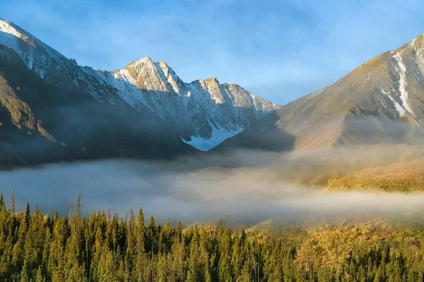 加拿大育空地区 秋天的雾气笼罩下的森林 背景是群山 美丽的乡村风景 — 图库照片