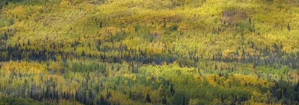 Canada Yukon Vue Sur Toundra Automne Avec Des Montagnes Arrière — Photo