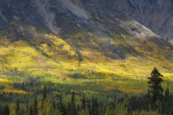 加拿大 育空地区 秋天的冻土带景观 背景是高山 美丽的野外风景 — 图库照片