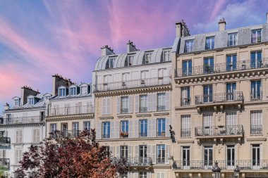 Paris, typical facades, beautiful buildings with old zinc roofs, rue Fenelon