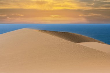 Namibya, Namib Çölü, denize düşen sarı kum tepelerinin manzarası.