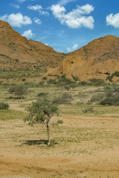 Namibia Deșertul Spitzkoppe Din Damaraland Peisaj Frumos — Fotografie, imagine de stoc