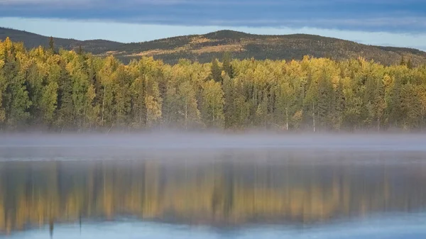 加拿大育空地区的野生山水 秋天的墓碑公园 映衬着湖中的树木 — 图库照片