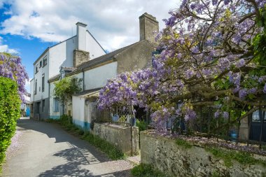 Brittany, Morbihan körfezindeki Ile aux Moines adası, küçük bir sokak ve köydeki güzel evler.