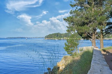 Brittany, Morbihan Körfezi manzarası, Ile aux Moines, ilkbaharda