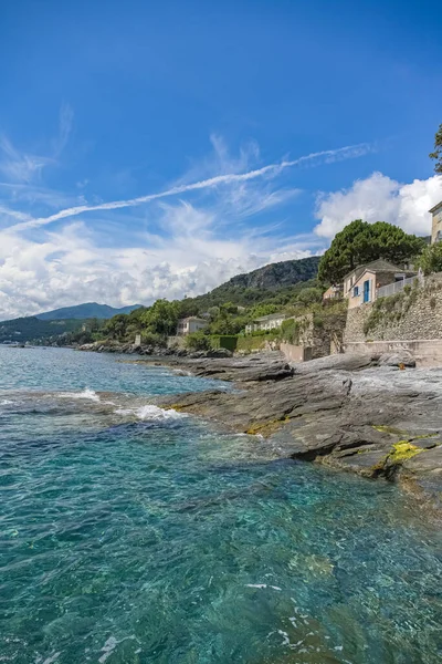 Korsika Erbalunga Typische Häuser Dorf Sommer Ufer — Stockfoto