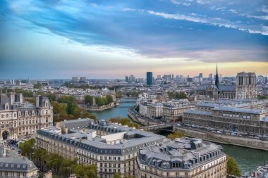 Paris, aerial view of the city hall, the Seine, monuments and buildings