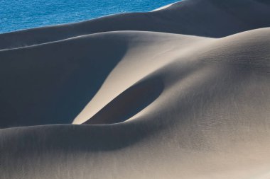 Namibya, Namib Çölü, denize düşen sarı kum tepelerinin manzarası.