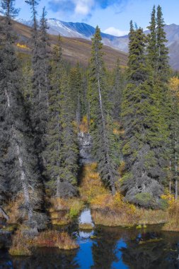 Kanada 'da Yukon, Tombstone parkının sonbaharında göl manzarası.