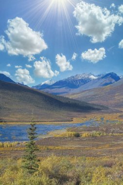 Kanada 'da Yukon, Tombstone parkının sonbaharında vahşi manzara, sonbaharda Dempster Otoyolu.