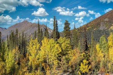 Kanada, Yukon, sonbaharda Tundra manzarası, arka planda dağlar, vahşi bir ülkede güzel bir manzara.