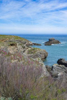 Brittany 'de Belle-Ile, Cote Sauvage' da kayalar ve kayalıklarla kaplı deniz manzarası.
