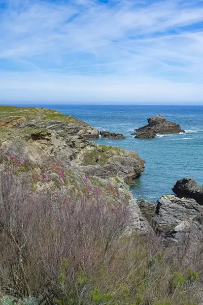 Brittany 'de Belle-Ile, Cote Sauvage' da kayalar ve kayalıklarla kaplı deniz manzarası.