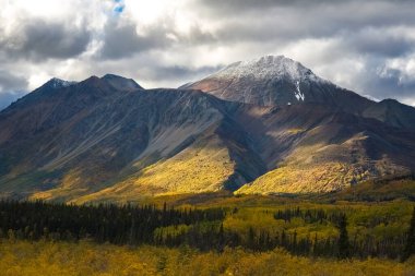 Kanada, Yukon, sonbaharda Tundra manzarası, arka planda dağlar, vahşi bir ülkede güzel bir manzara.