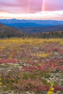 Kanada 'da Yukon, Tombstone parkının sonbaharında vahşi bir manzara.