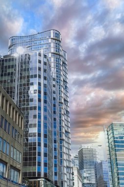 Vancouver, Kanada 'da şehir, merkezde binalar, şehrin gökdelenleri.