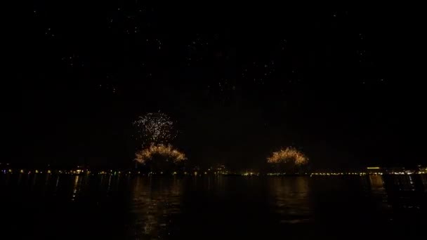 Jasné Barevné Ohňostroje Osvětlují Tmavou Noční Oblohu Nad Městem Svátku — Stock video