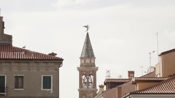 Racci Létají Před Starobylou Věží Italském Městě Chioggia — Stock video